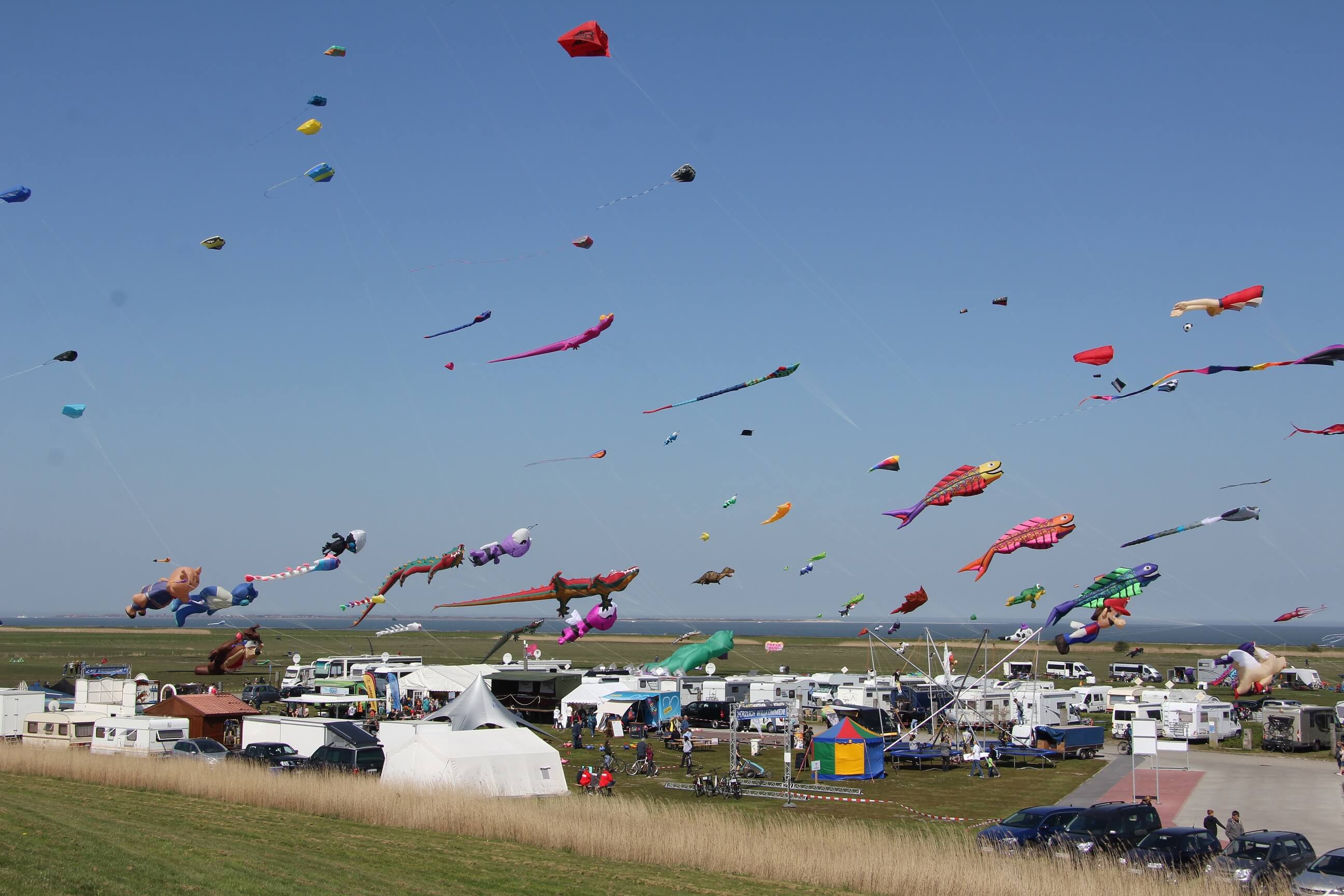 Drachenfest an der Nordsee in Dornumersiel | Dornum.de